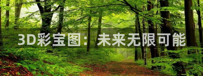 WG电子官方网站下载：3D彩宝图：未来无限可能